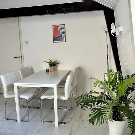 Ozzy'S Beach House Zandvoort Exterior foto